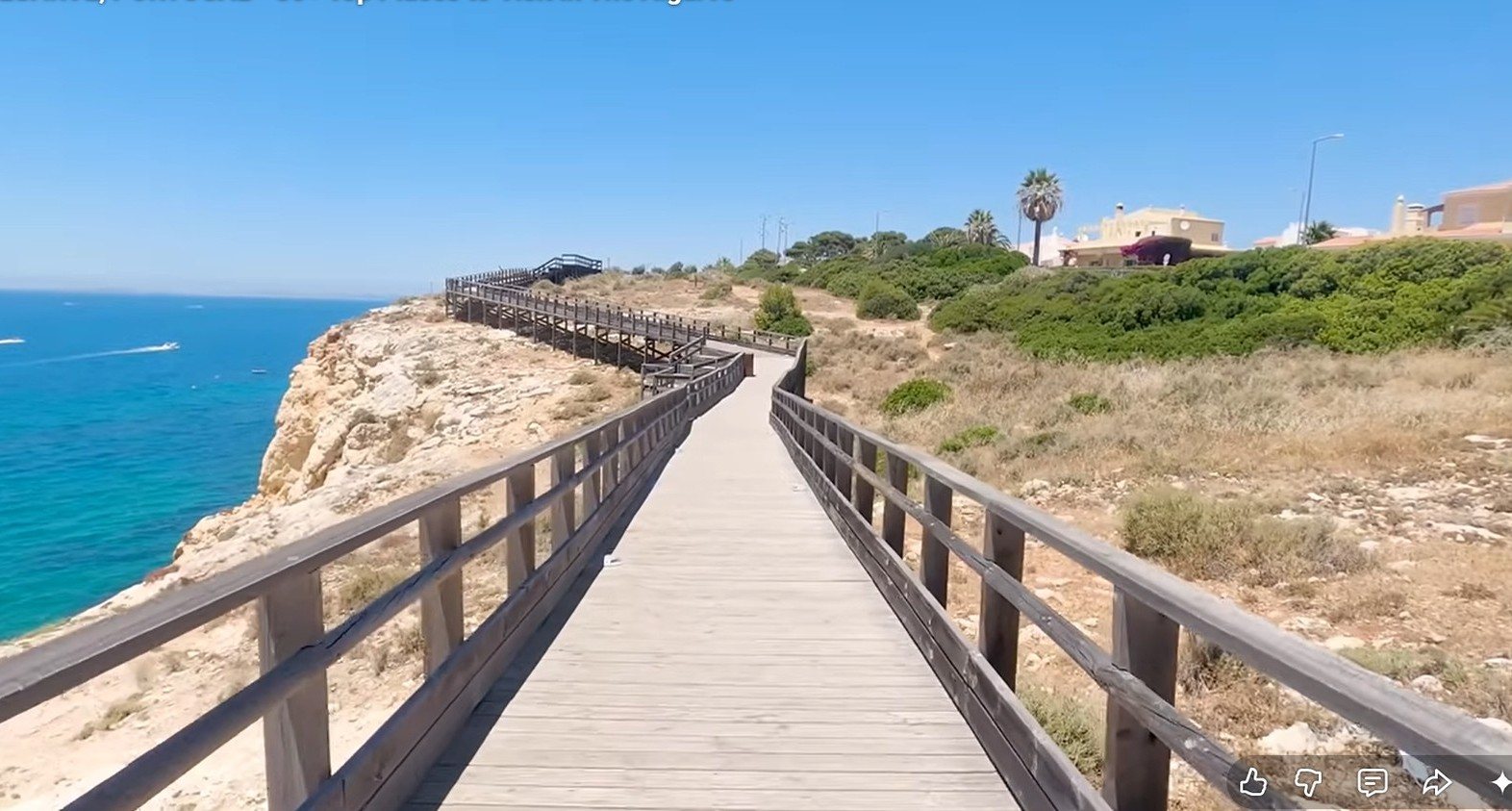 Carvoeiro