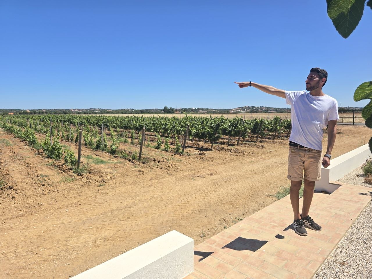 Cabrita Wines guide pointing across rows of vines under a blue sky