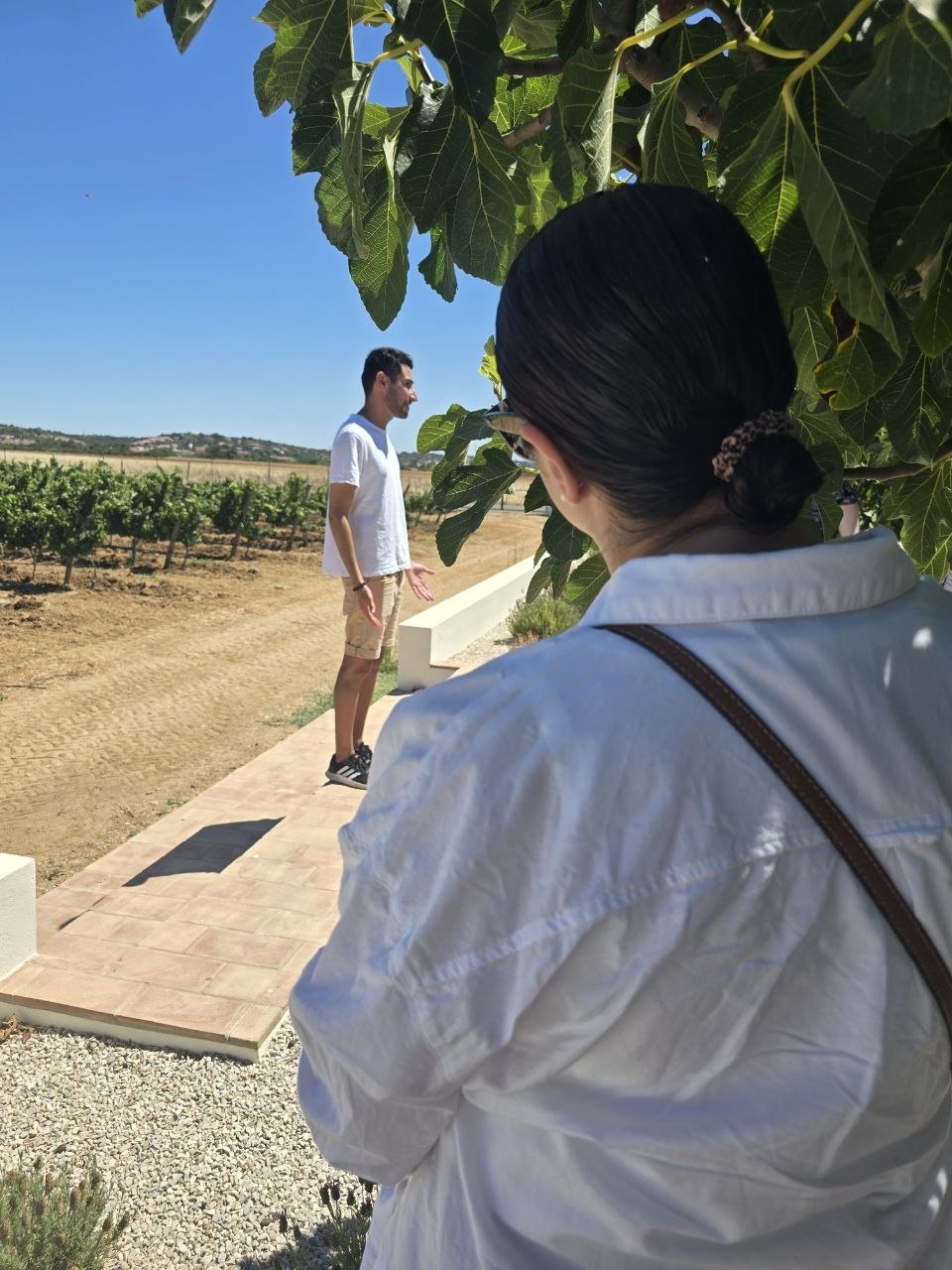 Cabrita Wines guide speaking to the group beside the vineyard rows