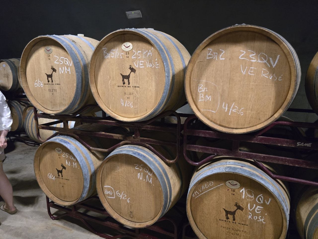 Cabrita Wines barrel room with oak barrels marked in chalk