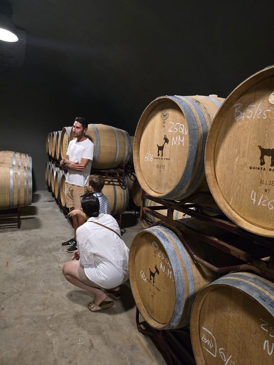 Tour group gathered beside oak barrels in the Cabrita Wines cellar