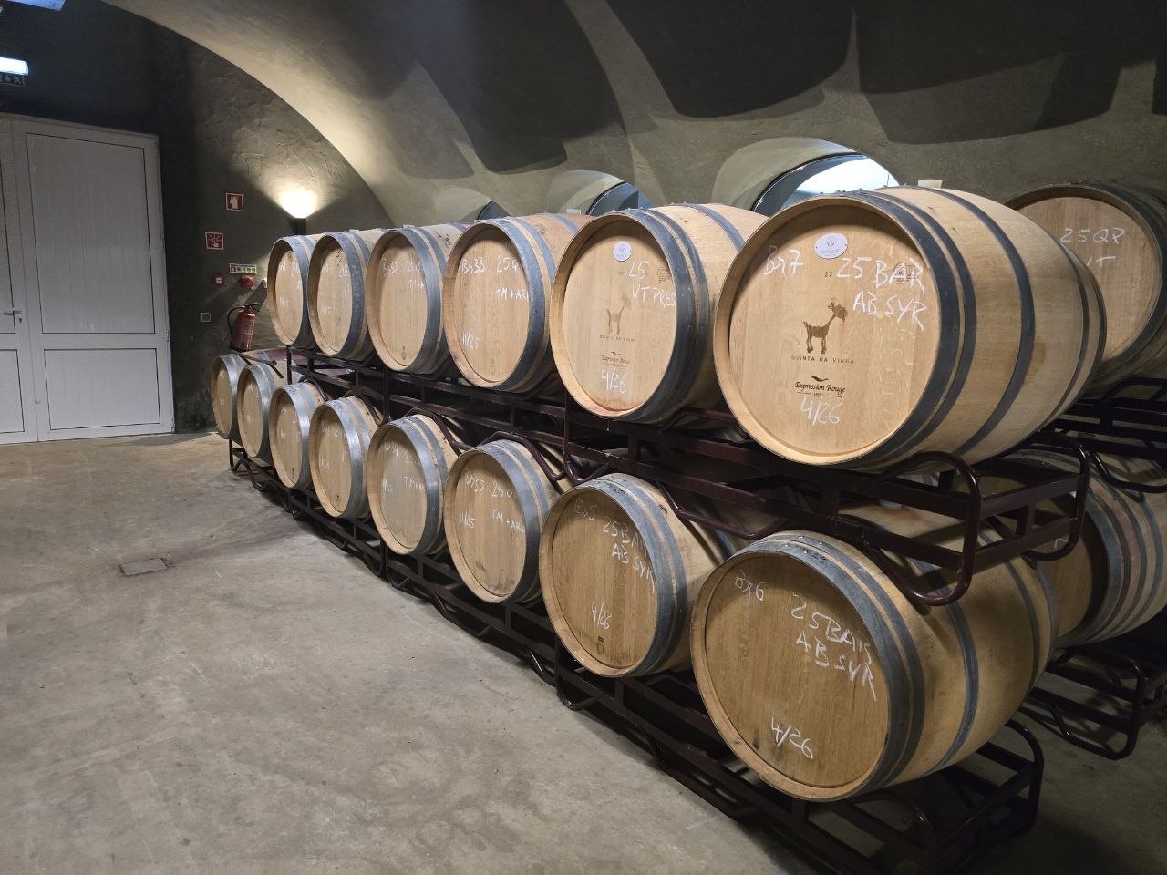 Wide view of oak barrels stacked on racks in the Cabrita Wines cellar