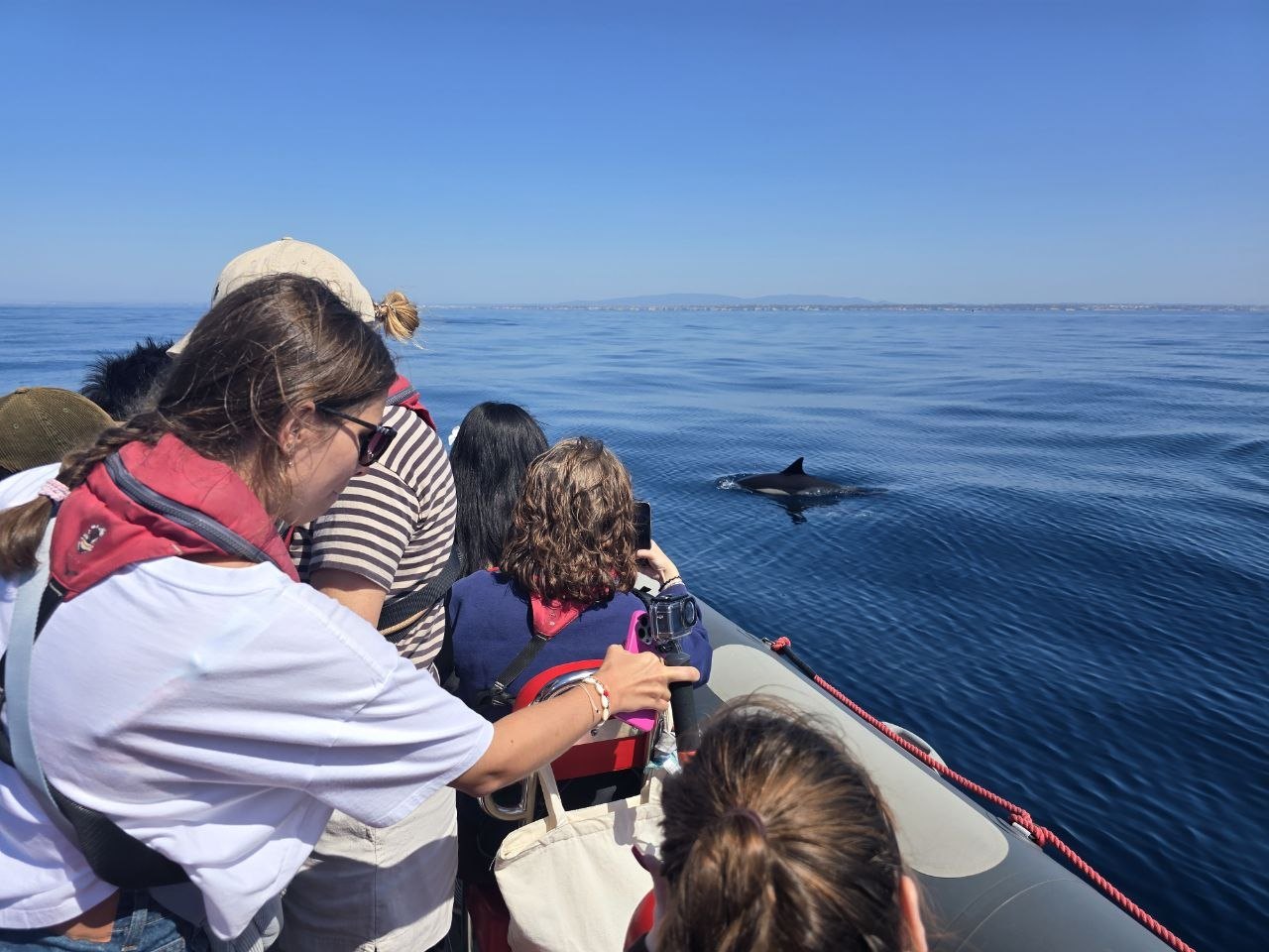 A dolphin swimming very close to the zodiac boat while passengers watch and film