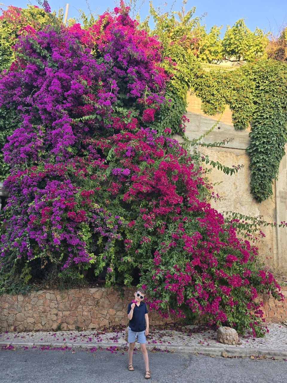 Noah standing beneath a huge wall of bright pink and purple bougainvillea flowers after dinner