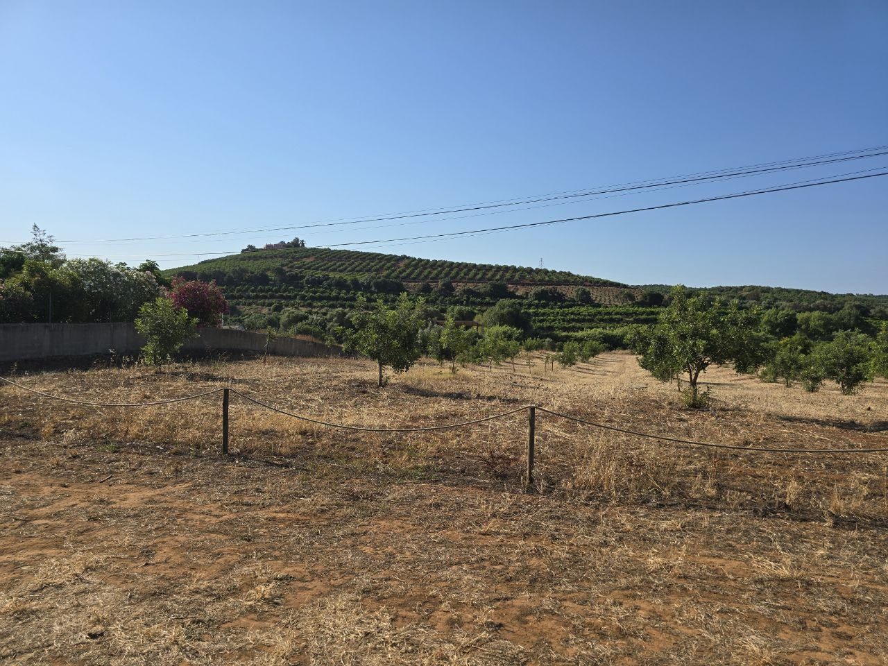 Wide Algarve countryside view from Quinta de Santo Estevão with orange groves and hills