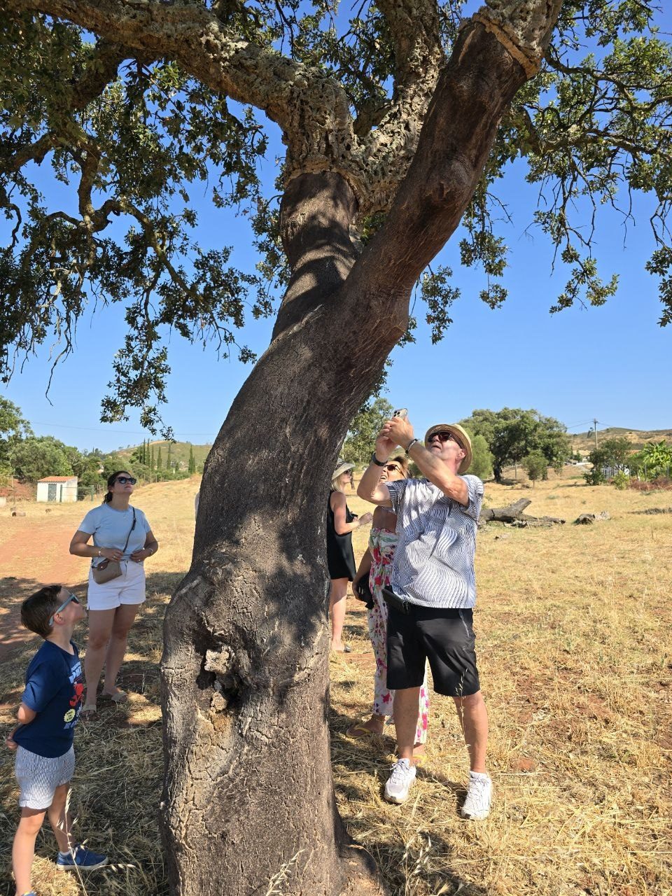 Family and guide gathered beside a cork tree during the Quinta de Santo Estevão tour