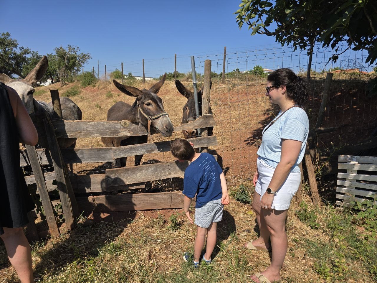 Noah and Catherine visiting donkeys at a wooden fence on the farm