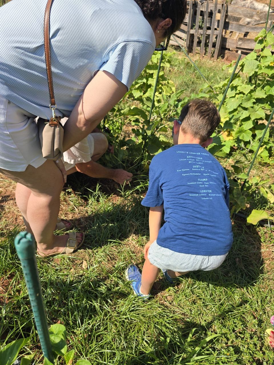 Catherine and Noah crouching to examine a peanut plant during the farm tour
