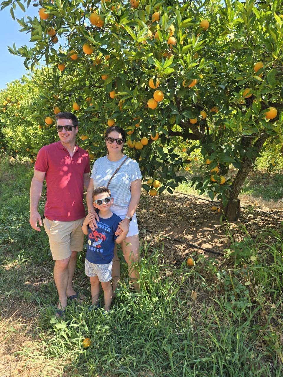 Ben Catherine and Noah standing together beneath a fruit-filled orange tree