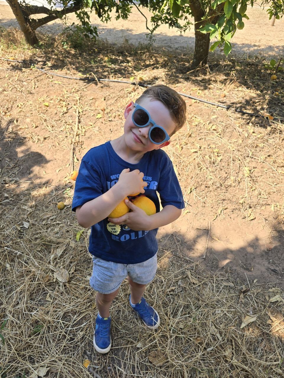 Noah hugging several oranges against his chest in the grove