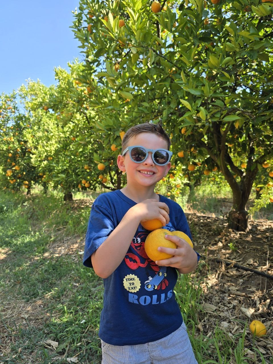 Noah smiling with sunglasses while holding oranges in the grove