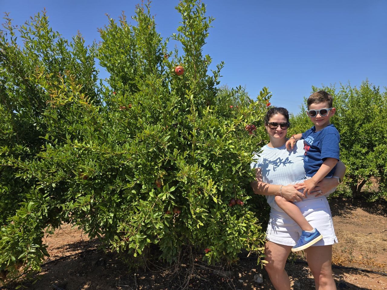 Catherine holding Noah beside a pomegranate tree on the farm