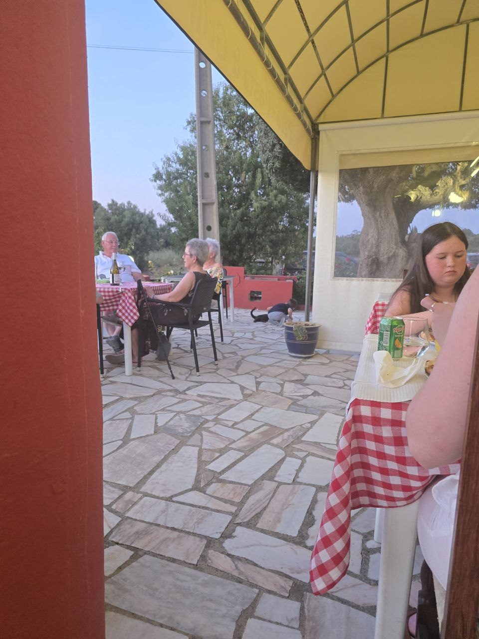 Outdoor La Vera restaurant patio with red checkered tables and Noah near a local cat in the background