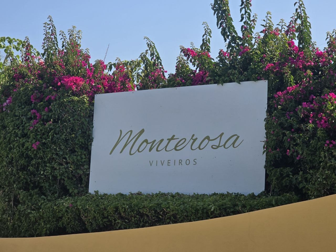 Monterosa Olive Oil entrance sign framed by bougainvillea and greenery