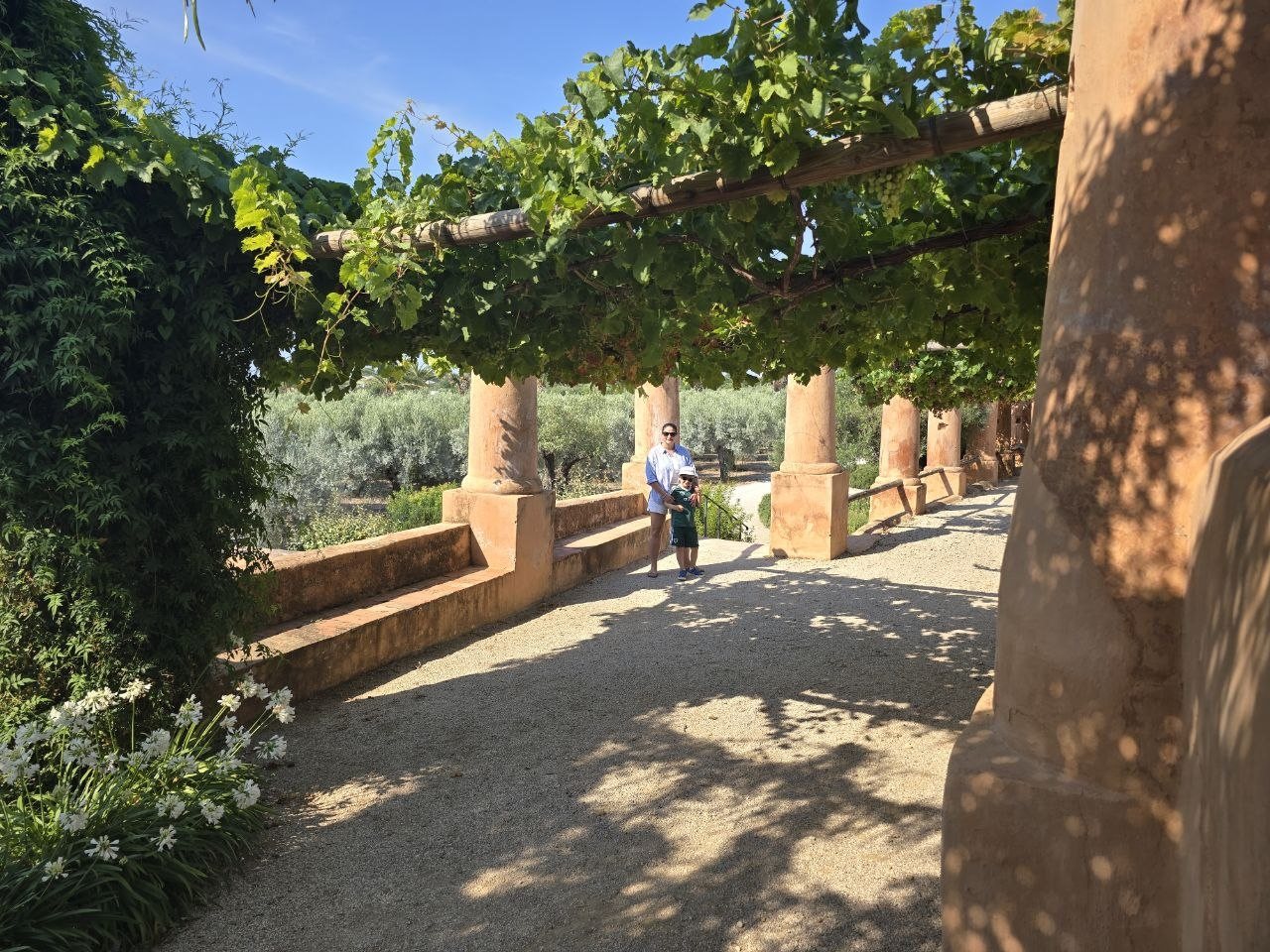 Shaded walkway at Monterosa under grape vines and rustic columns