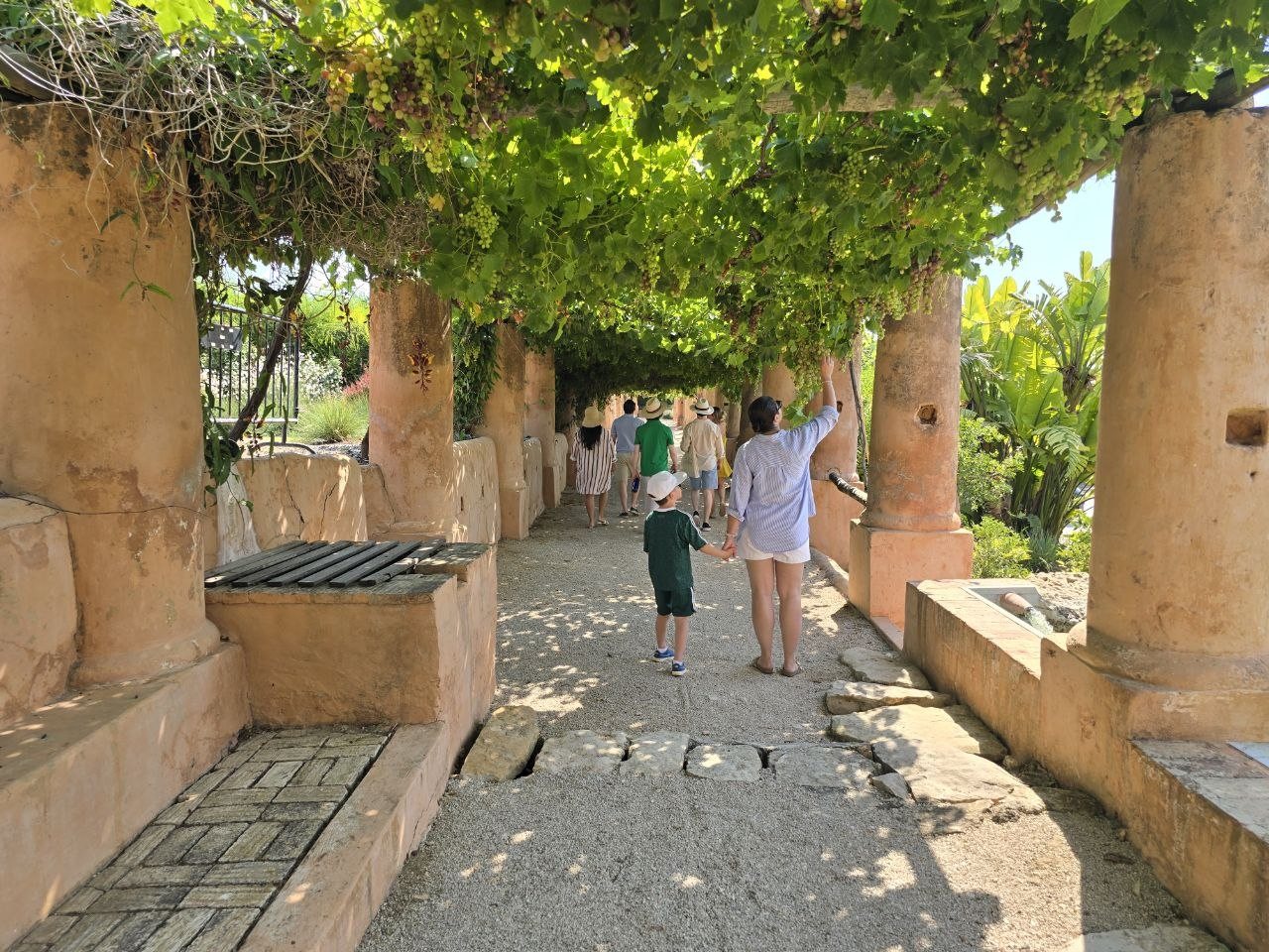 Family walking along the shaded Monterosa pergola path