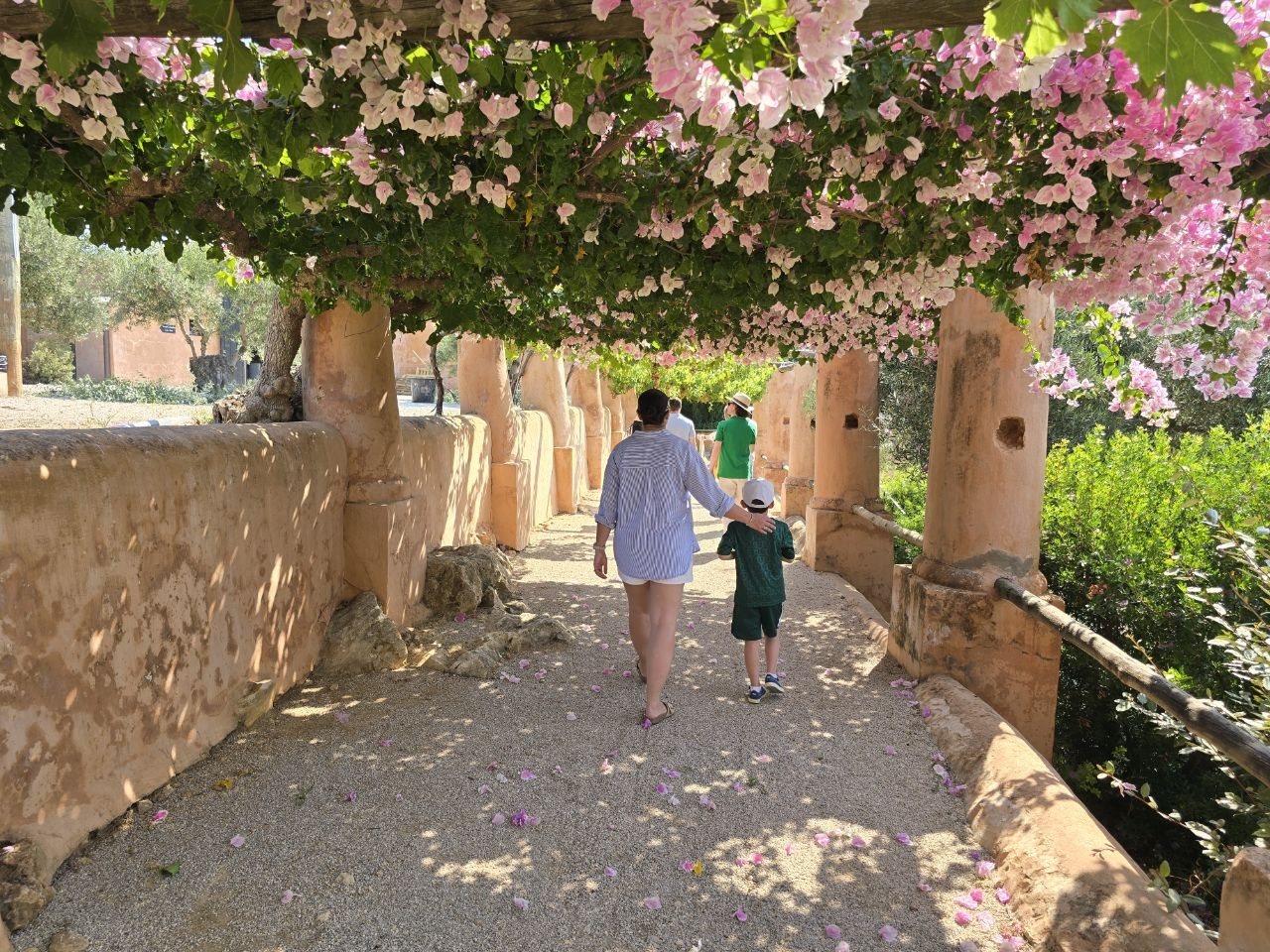 Catherine and Noah walking beneath pink bougainvillea on the Monterosa path