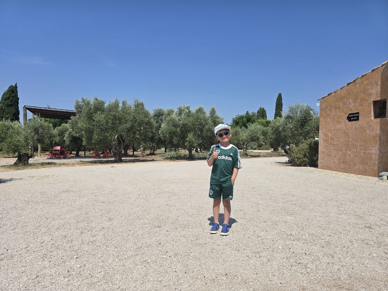 Noah standing in front of the Monterosa olive grove giving a thumbs up