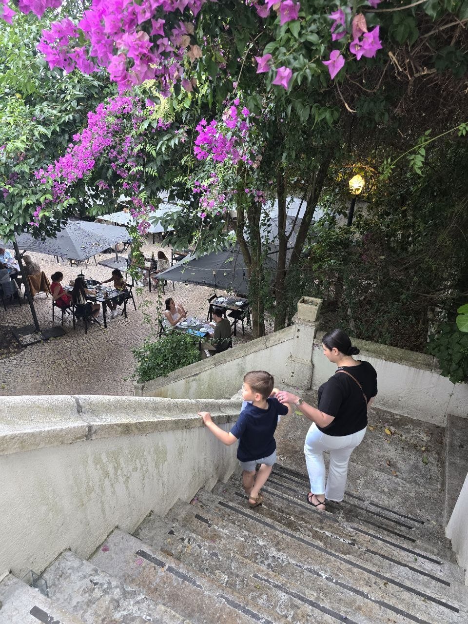 Catherine and Noah walking down stone stairs into the garden patio at Clube de Jornalistas under bougainvillea