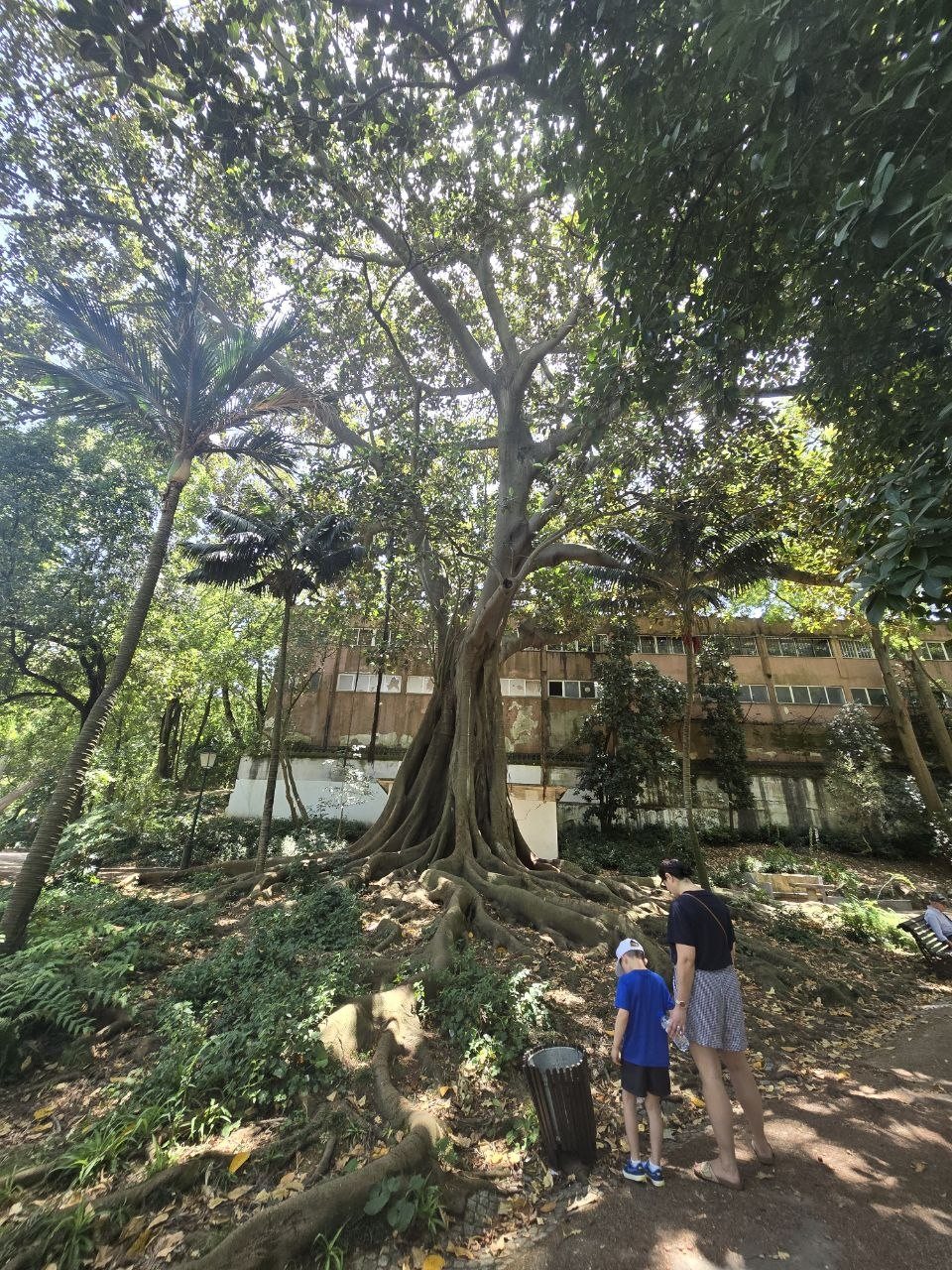 Noah and Catherine standing near the huge roots of a giant tree in a Lisbon garden