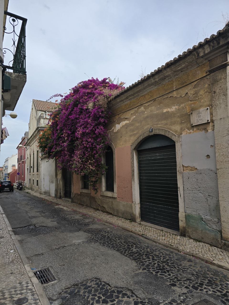 Quiet Lisbon street with purple bougainvillea spilling over an old wall near Come Prima
