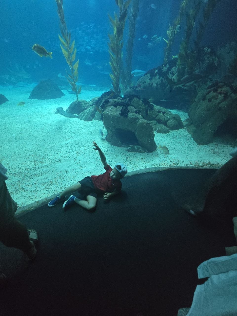 Noah lying and pointing in front of the giant Oceanário tank