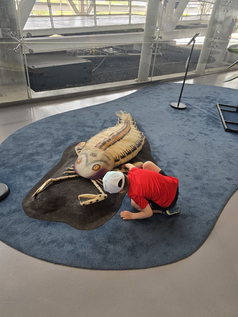 Noah crouching beside a ray display on the floor at the aquarium