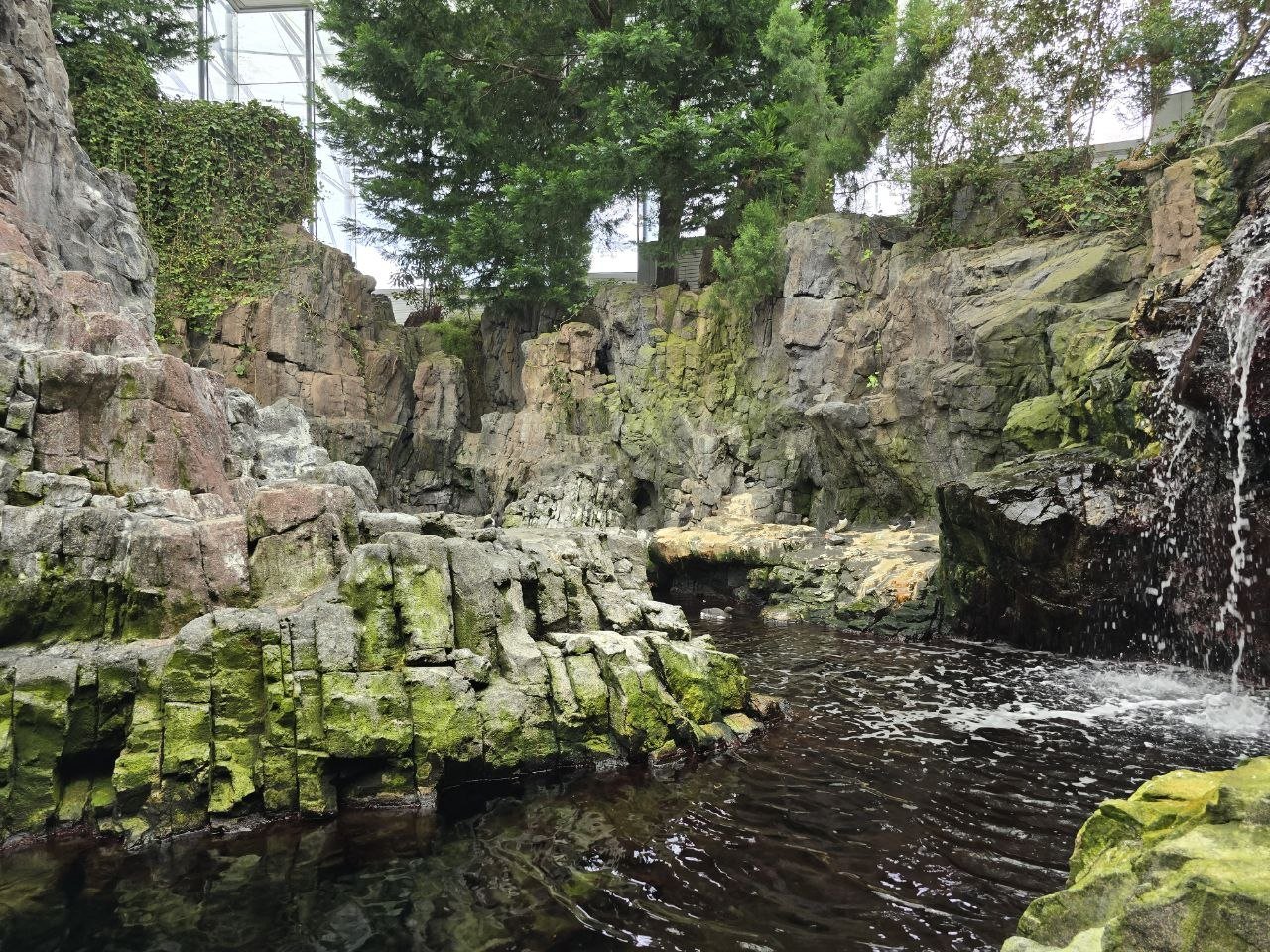 Rocky water habitat inside the Lisbon Oceanário