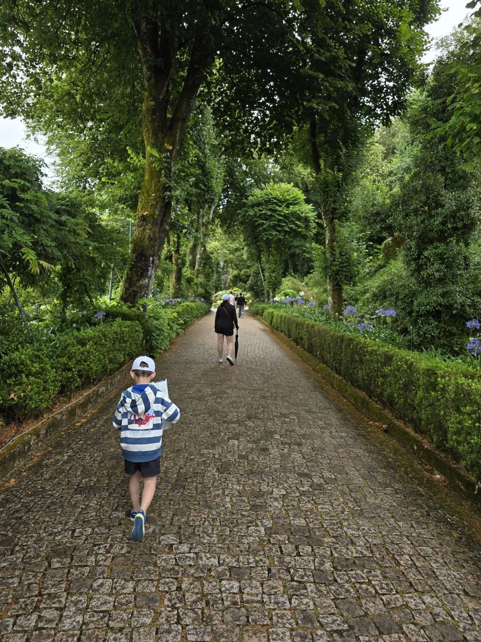 Noah walking down a tree-lined cobblestone path