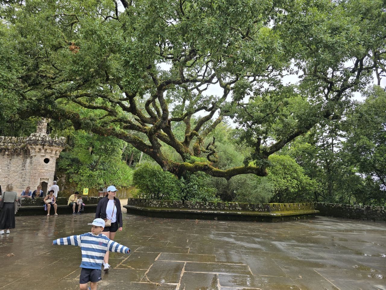 Noah on a wet stone terrace under a large tree