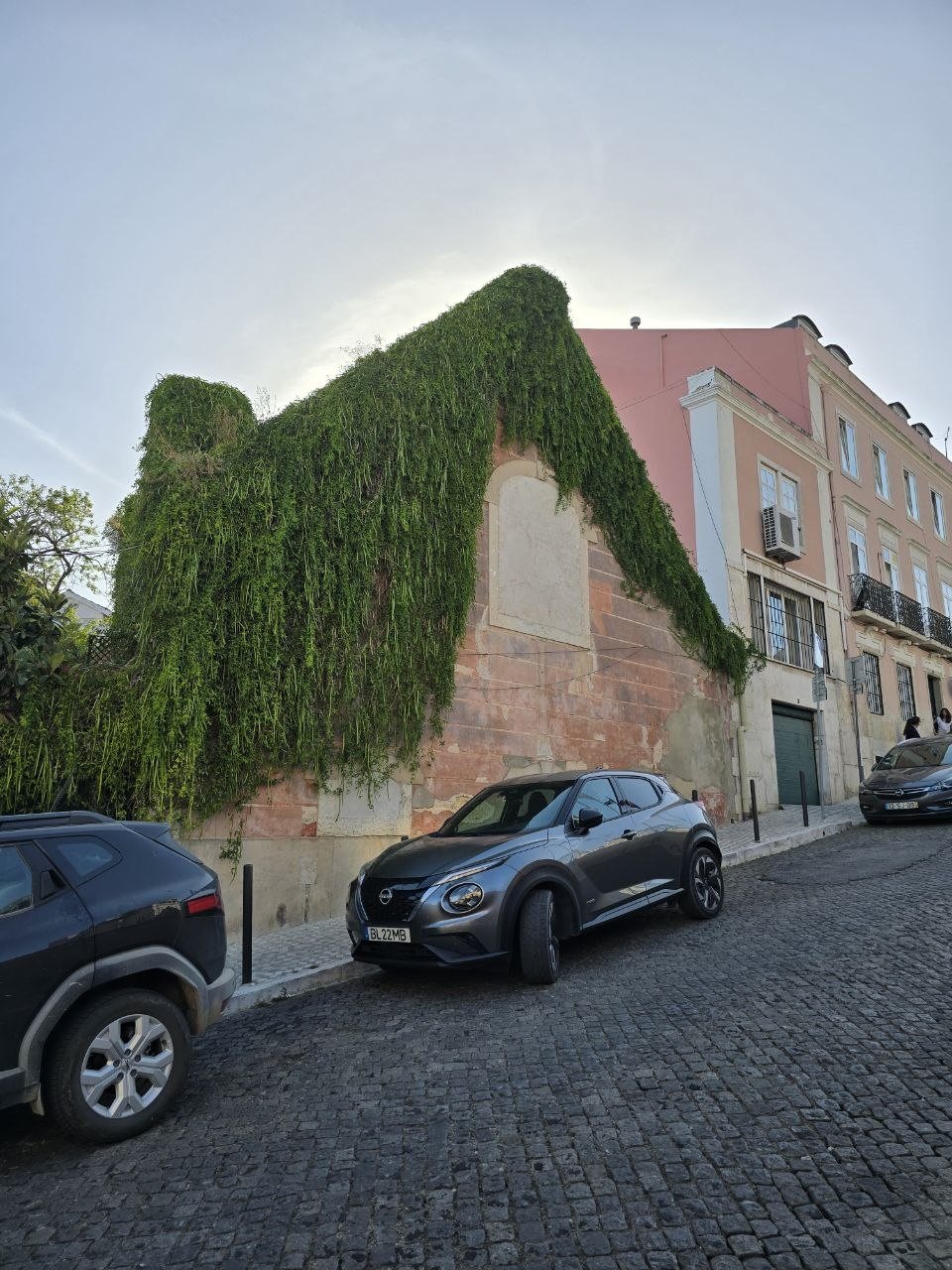 Ivy covered building on a Lisbon cobblestone street