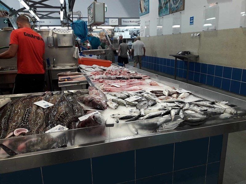 Mercado Municipal de Portimão photo 9