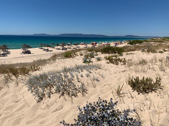 Comporta Beach / rice-field area TripAdvisor photo 1