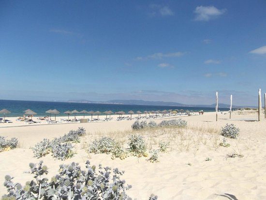 Comporta Beach / rice-field area TripAdvisor photo 2